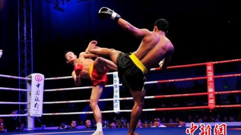 中国散打“主场全胜”！世青赛津门落幕，中国队散打项目狂揽5金