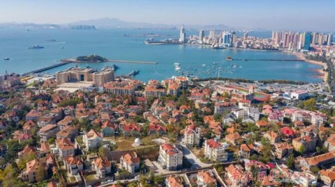 命运分野：青岛海牛斩首胜告别垫底区，深圳新鹏城两连胜直逼前四